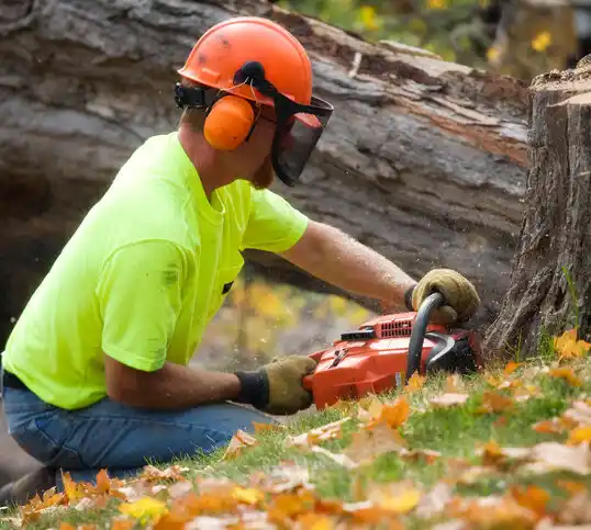 tree services Worthington Hills